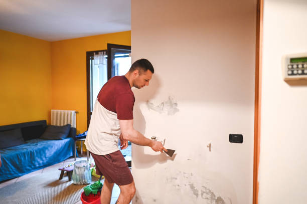 Best Water Damage Restoration  in Freeland, PA